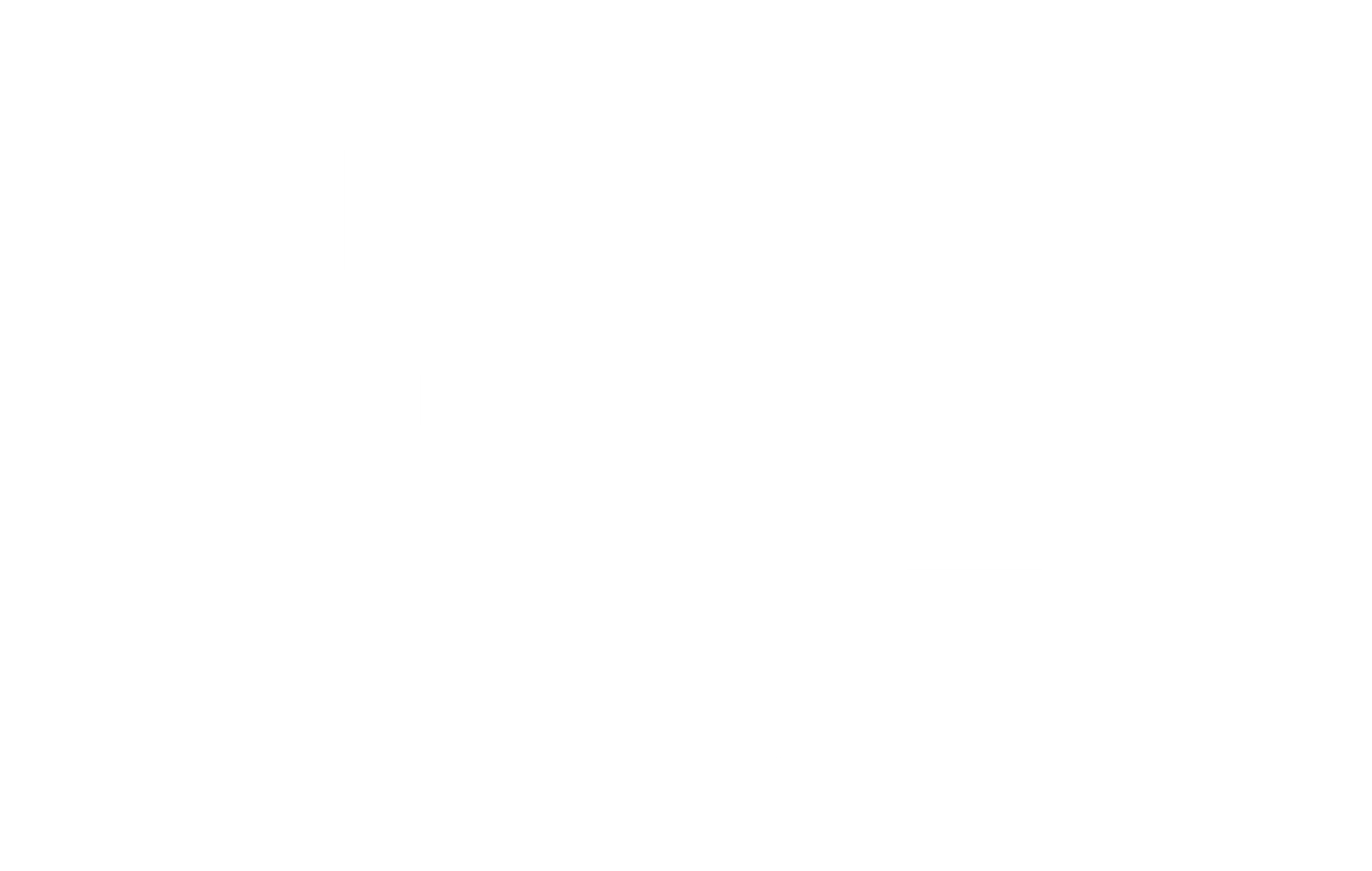ZUSJES VISSER